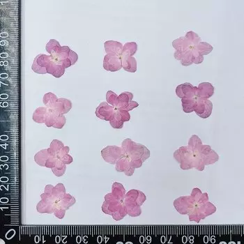 Прессованные цветы гортензии NYAConfetti 12 шт.