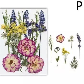 Прессованные цветы JETTING для декора