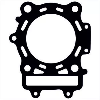 Прокладка ГБЦ Arctic Cat ATV 400/454/500, BEARCAT 4X4, (3402-163)