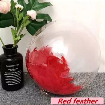 Прозрачные гелиевые шары с перьями YHZNXH