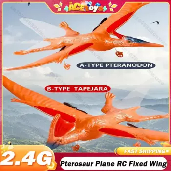 Радиоуправляемый самолет Pterosaur с фиксированным крылом, 2,4 ГГц, пульт дистанционного управления, самолёт ручной метательной машины из пенополистирола, Электрический уличный самолет в подарок