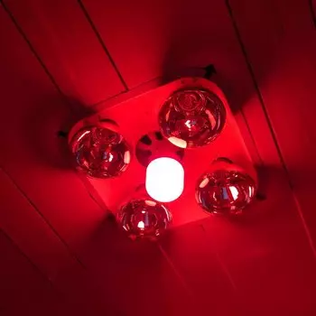 RANPO LED лампа-фонарь красный 20Вт/15Вт/10Вт/5Вт