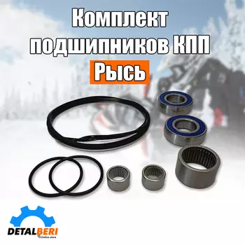 Ремкомплект КПП снегохода Рысь