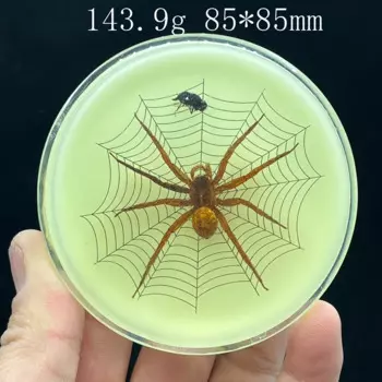 Флуоресцентная смоляная модель насекомого