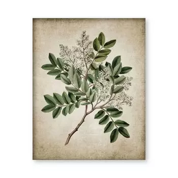 Ретро-плакат "Зелёное растение", wall's tale