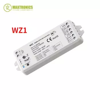 RGB-контроллер SAGE LU MEI WZ1 12-24В 2 канала