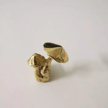 Ручки для мебели из латуни с золотыми грибами