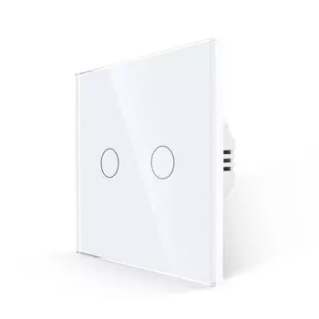 Сенсорный выключатель Bingoelec 1Gang2gnag