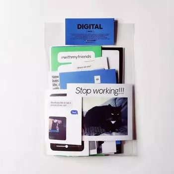 Sharkbang набор наклеек 50 шт