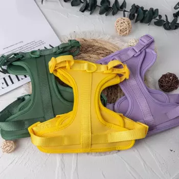 Шлейка для собак из ПВХ, регулируемая мягкая шлейка для собак, неопреновая персонализированная шлейка для собак, набор поводков и ошейников