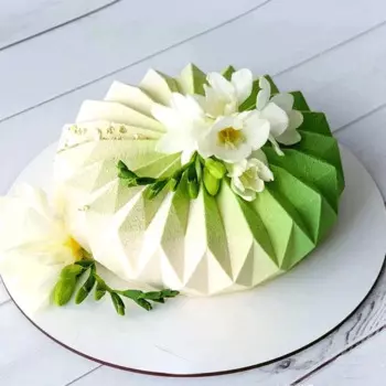 Силиконовая форма для мусса OEING