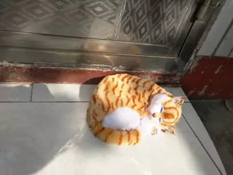 Симпатичная модель спящего кота из полиэтилена и меха, дышащая кукла кошки, подарок около 23x19 см 2334