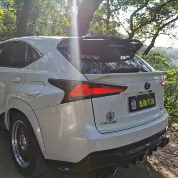 СПОЙЛЕР ГУБ ЗАДНЕГО КРЫЛА автомобиля ДЛЯ LEXUS NX NX200 NX200t NX300h 2017 2018 2020