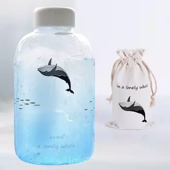 Стеклянная бутылка для воды Freeson 600 мл