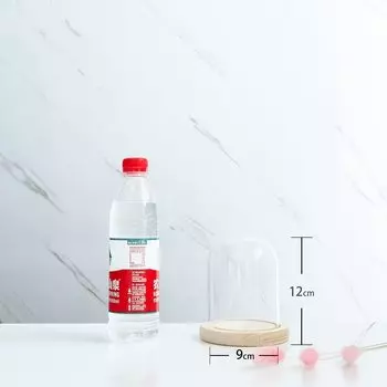 Стеклянная крышка для суккулентов OIMG