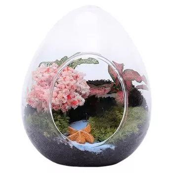 Стеклянная ваза ACRDDK форма яйца для суккулентов