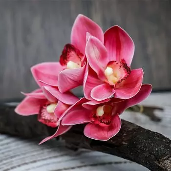 SunMade искусственные белые орхидеи, букет, 4 шт.