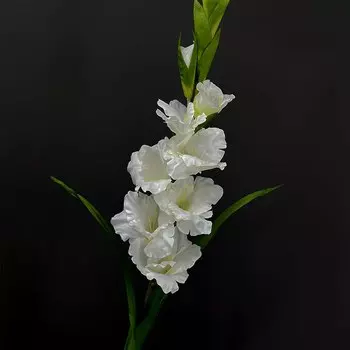 SunMade искусственные гладиолусы белые