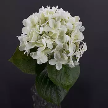 SunMade искусственные гортензии