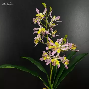 SunMade шелковые орхидеи 2 штуки