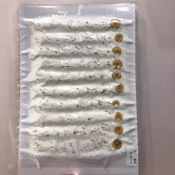 Сушеные белые хризантемы DRtrade 250 шт.