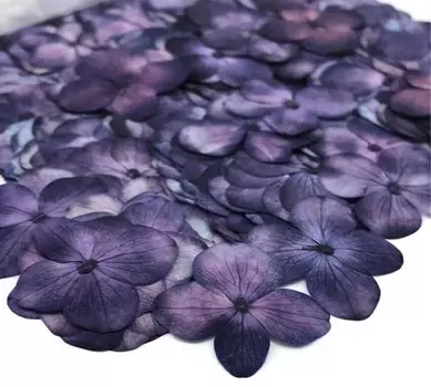 Сушеные цветы Гортензии DRtrade 60 шт.