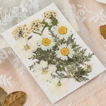 Сушеные цветы HARKO для рукоделия