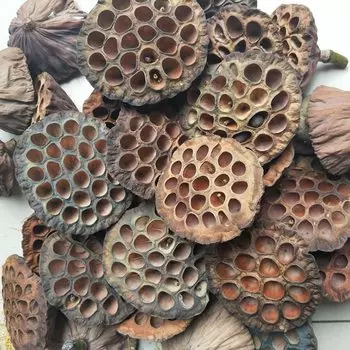 Сушеный цветок лотоса CLYK