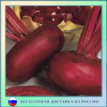 Свекла столовая египетская плоская семена 50 ШТ