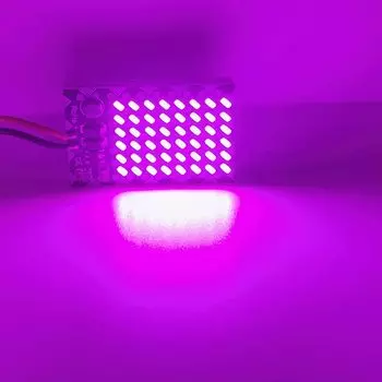 Светодиодная лампа-фестон T10 BA9S, 1 шт.