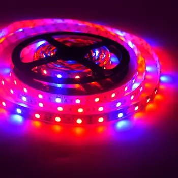Светодиодная лента YJBCo для растений 5м 12В 60LEDs/m