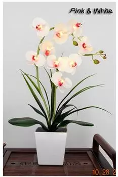 Светодиодный цветок орхидеи Orient Star