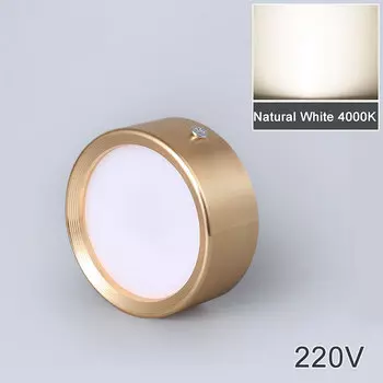 Светодиодный потолочный светильник CTEEATE 220В