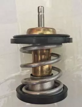 Термостат для Foton sauvana 4G20T