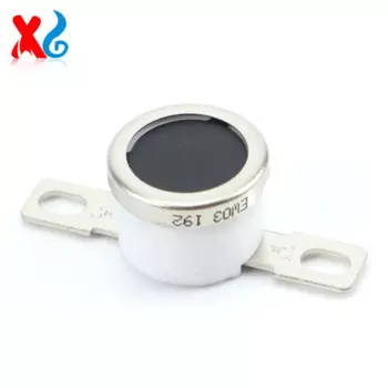 Термостат для Ricoh Aficio 2051 2060 2075 MP5500 6000 6001 6500 7000 7001 7500 8000 8001 AW110066 211C, 1 шт.