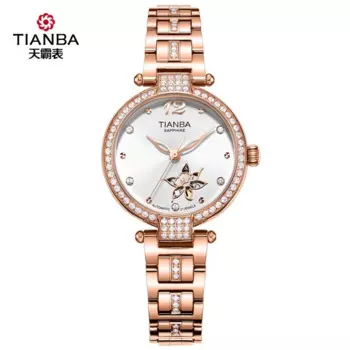 TIANBA автоматические механические часы водонепроницаемые женские часы с маленьким циферблатом женские скелетон с ремешком из нержавеющей стали женские часы 6038