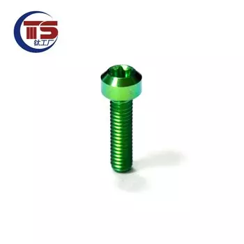 Титановые болты TS M4 8/10/12/15/20/25/30/35 мм, 10 шт.