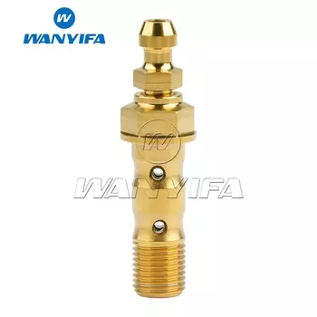 Титановый болт Wanyifa M10x1,0/1,25 мм для тормозной линии Brembo