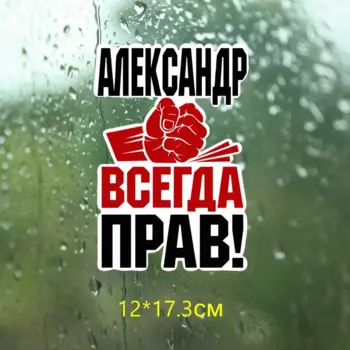 Три мишки WCS273 12x17,3 см кулак Александр всегда прав! Забавные красочные наклейки на автомобиль Авто Наклейка Автомобильные отличительные знаки