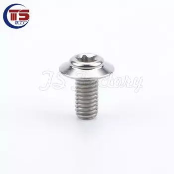 TS 2 и 10 шт. титановые винты с головкой зонта TITST