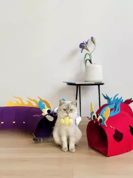 Туннель Ono Shin Dragon Year, гусеница, войлочный туннель, игрушка для кошек, парка для кошек, не летающие волосы, легко чистится