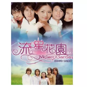 ТВ-драма 4 DVD НАБОР ДИСКОВ Meteor Garden часть 1 полная серия 1-20 China Life Love Youth Story TV Show китайский кантонский