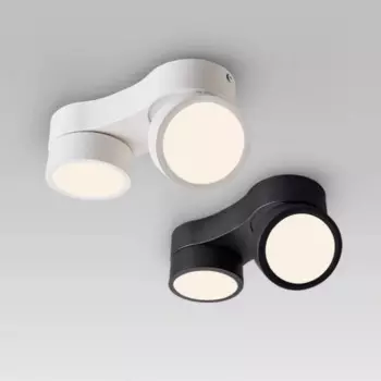 Потолочный светильник IWP, двойная головка, белый свет