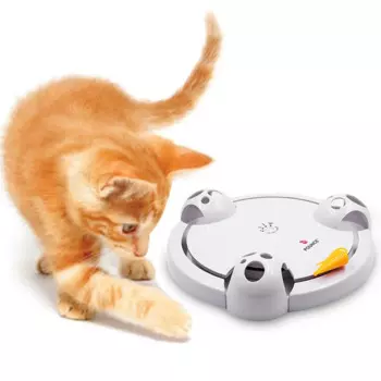 Умная игрушка для кошек, электрическая забавная игрушка для кошек, привлекающая мышь, автоматический вращающийся круг, развлекательная тарелка, тренировочный инструмент