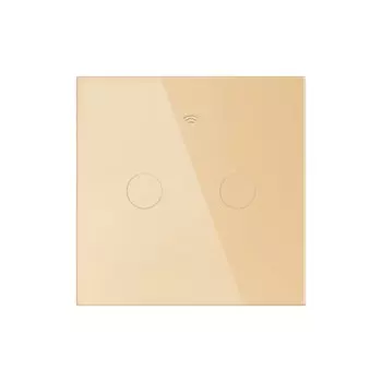 Умный выключатель EARUELECTRIC для Google Home