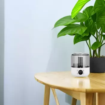 Увлажнитель воздуха с распылителем, 3 л