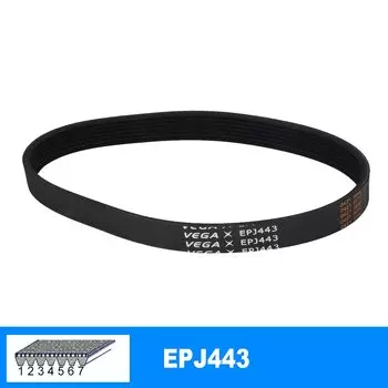 VEGA V-ремни EPJ443 резиновые 3/4/5/6/7 ребер