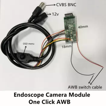 Ветеринарный медицинский модуль эндоскопа AWB для животных, CCD, мини-пуля, модуль видеокамеры, аналоговая камера безопасности, одноклавишный переключатель AWB