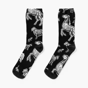 Veterinary Technician :: X-ray Animal Bones Anatomy Socks дизайнерские брендовые зимние нескользящие мужские носки женские