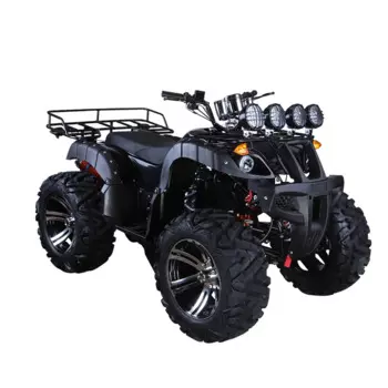 Вездеходный горный велосипед 150cc-250cc, привод дифференциального вала для двух человек, четырехколесный внедорожный мотоцикл ATV
